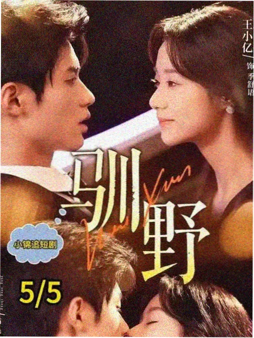 本周热榜第五名作品封面